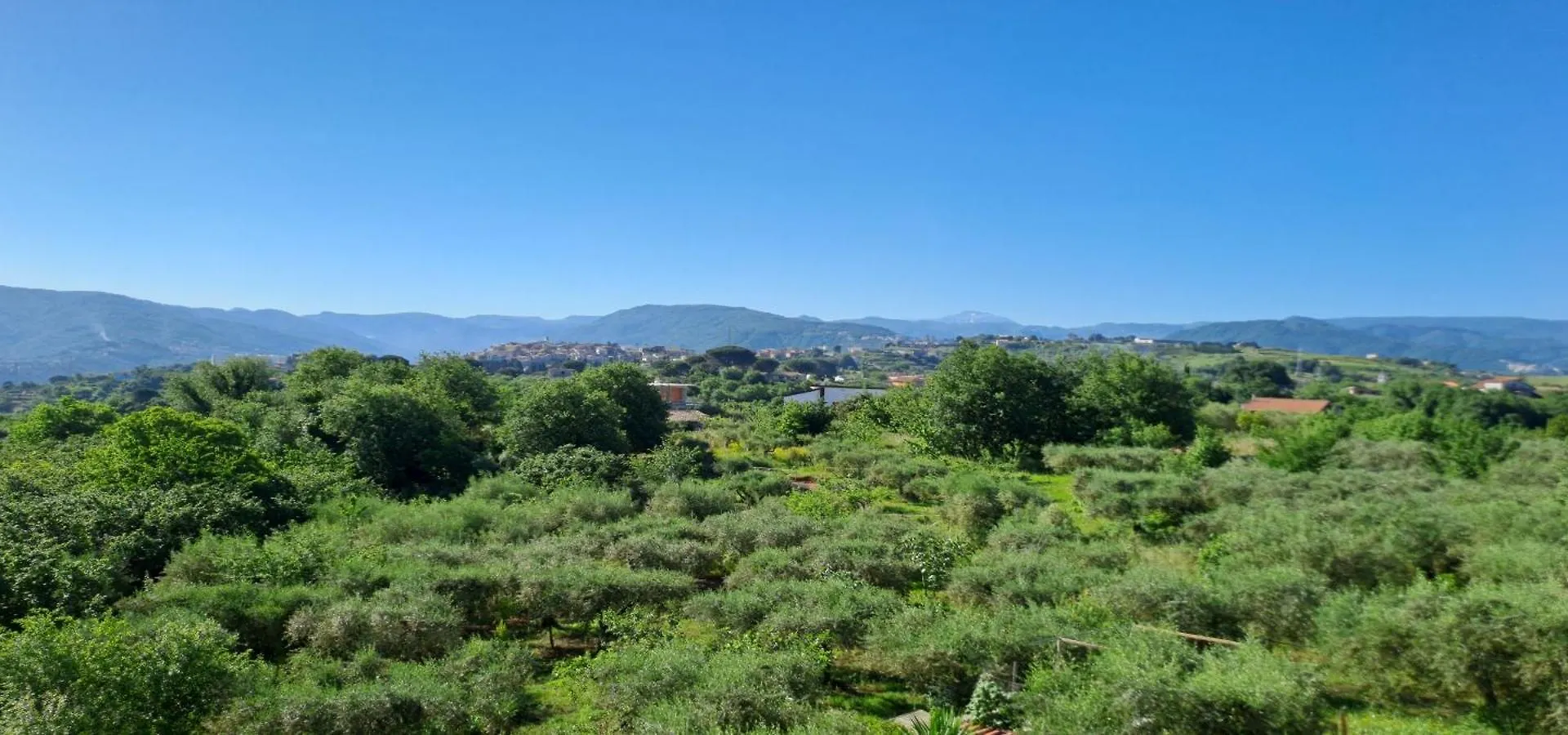 Tenuta Albachiara Naso